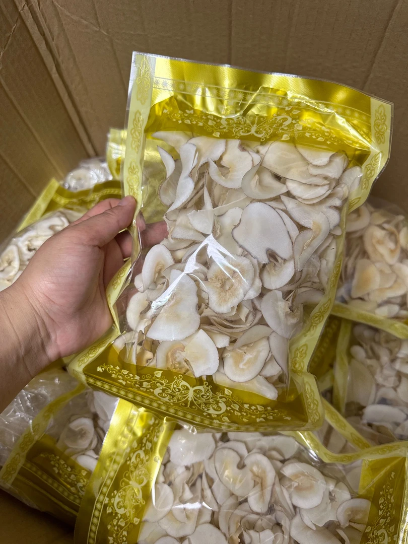 【姗姗宠粉专属链接】海底椰