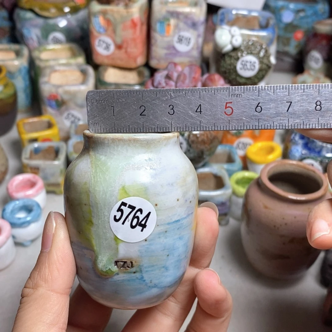 拍5送一个小礼物