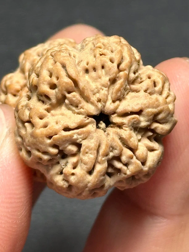 定制-雪花六瓣金刚菩提