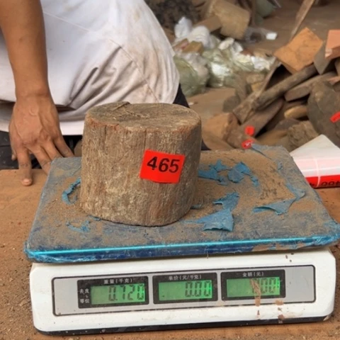 大果紫檀（缅甸花梨）