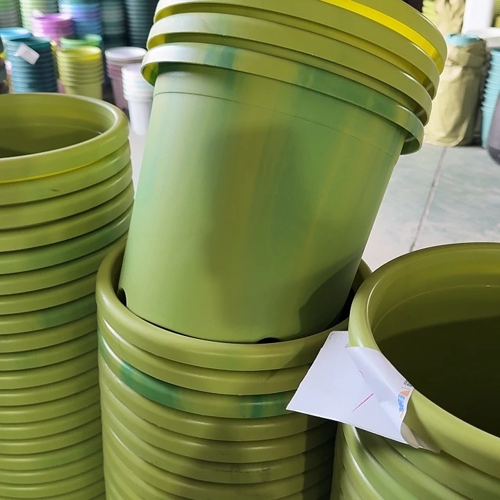 串色5#口径29果绿5个无托