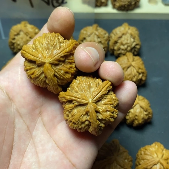 核桃其他白****i40尺白奔白狮子