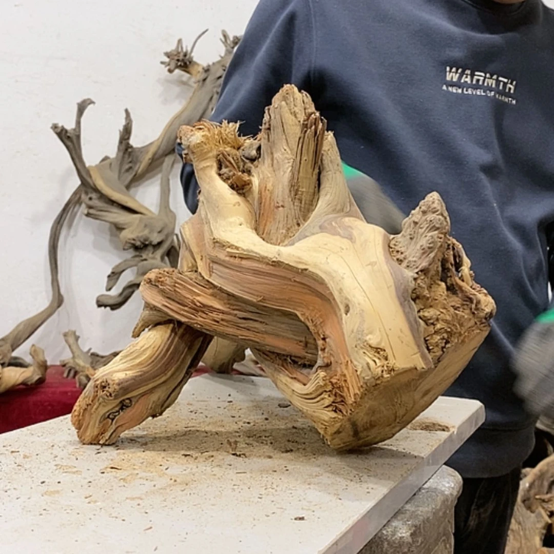 【闪购商品】柏木金*我们都是好孩子