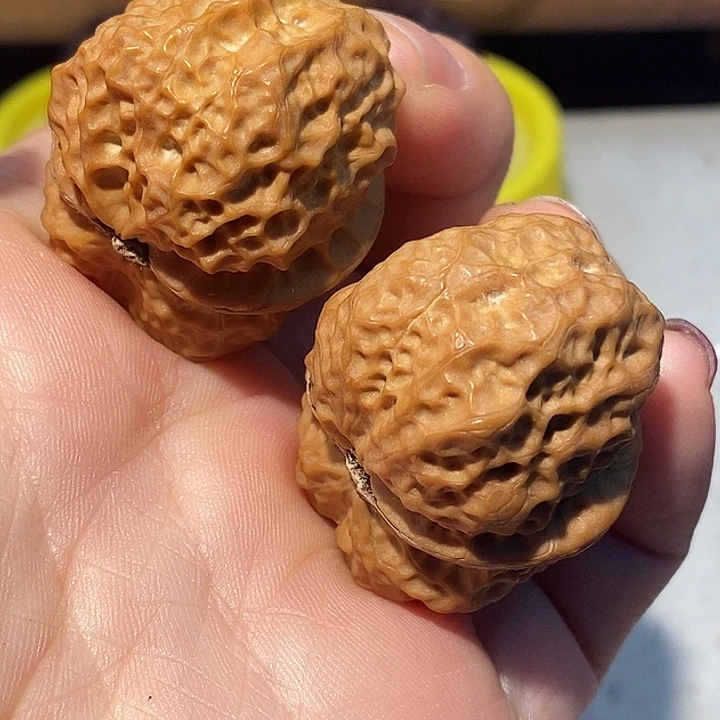 文玩核桃把件777777777¥