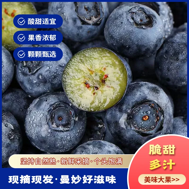 丹东特大清香脆甜花香蓝莓现摘现发脆甜新鲜水果应季平价好物