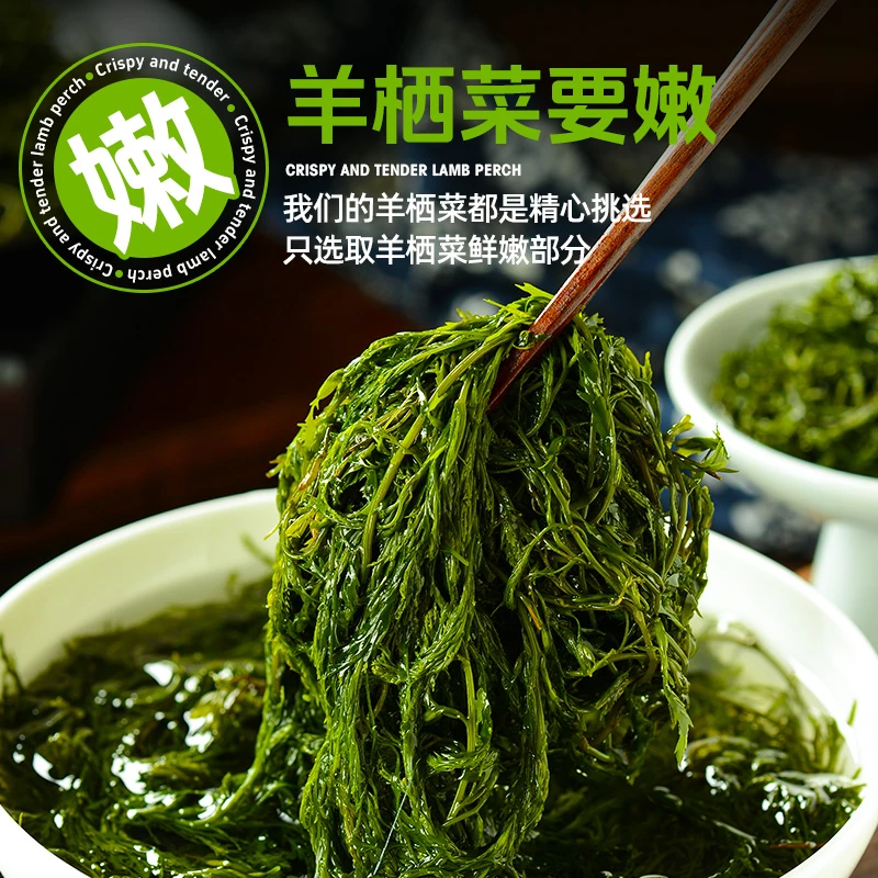 霞浦鲜嫩盐渍羊栖菜鞭炮笋火锅食材长寿菜