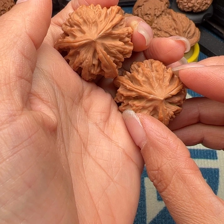 核桃文玩核桃三棱