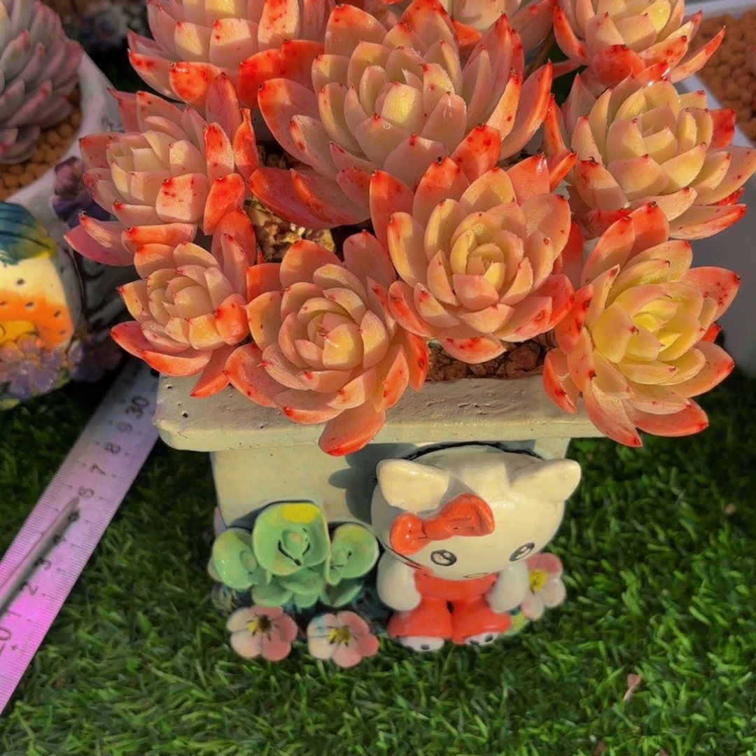 女*Jhjjhjjhjhvjhhbbbhhhg