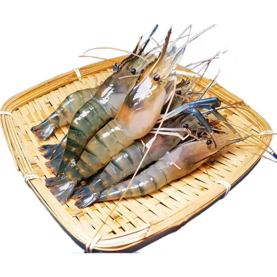 鲜活清水养殖罗氏沼虾大头虾350g