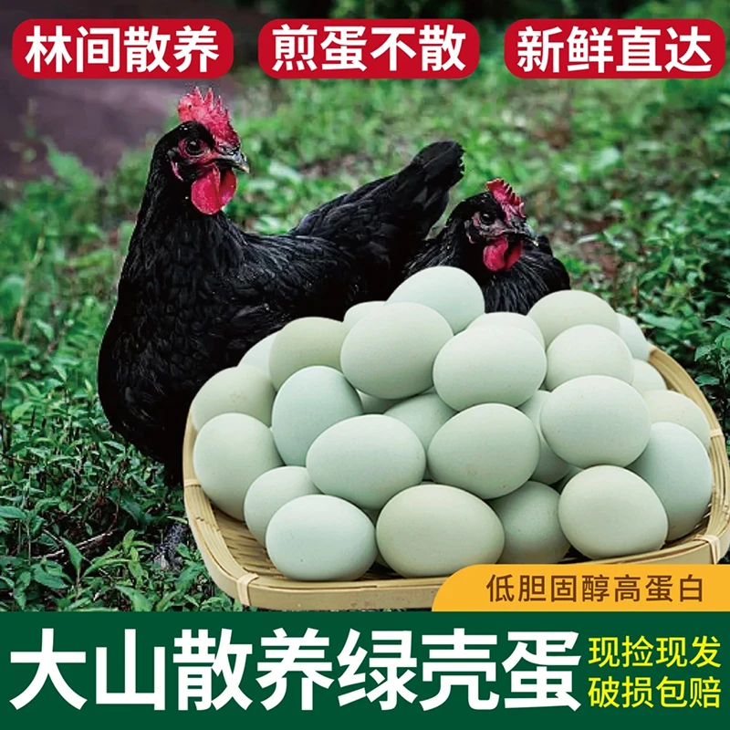 【破损包赔】30枚散养绿壳土鸡蛋农家新鲜乌鸡蛋现捡现发