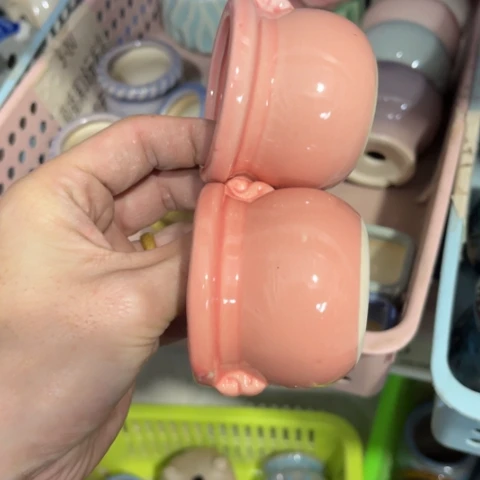 2［所有订单凑满15明天发］5+5