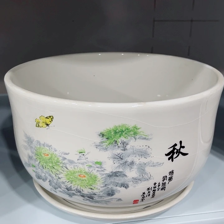 多肉花盆满10元包邮