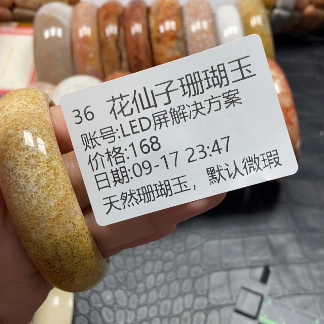 L***案未镶嵌硅化珊瑚（珊瑚玉）珠宝半成品36