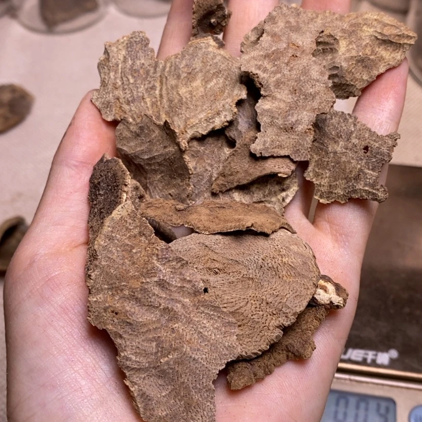 【闪购商品】香榧木海南老顶10克