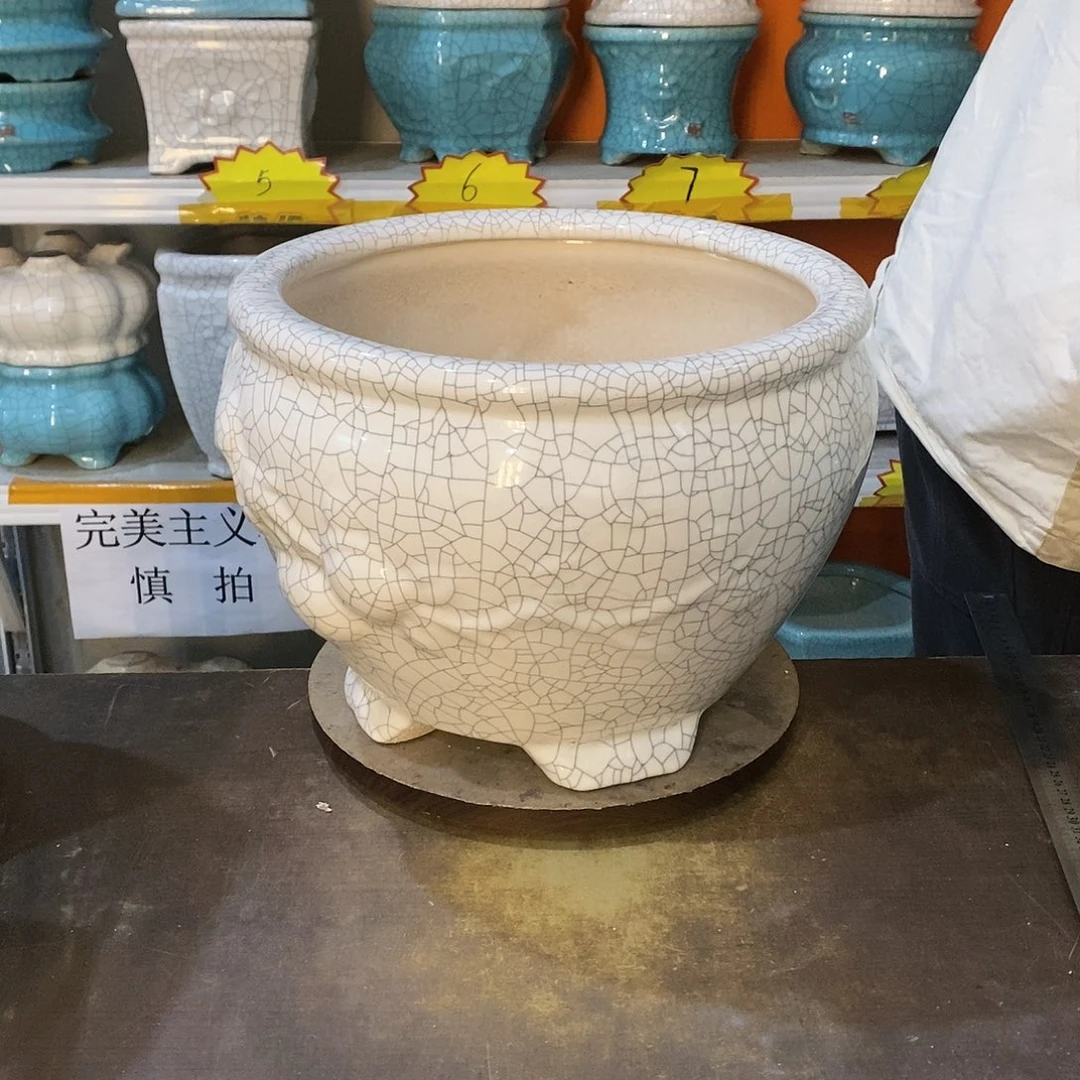 草*花盆花盆里的花都开