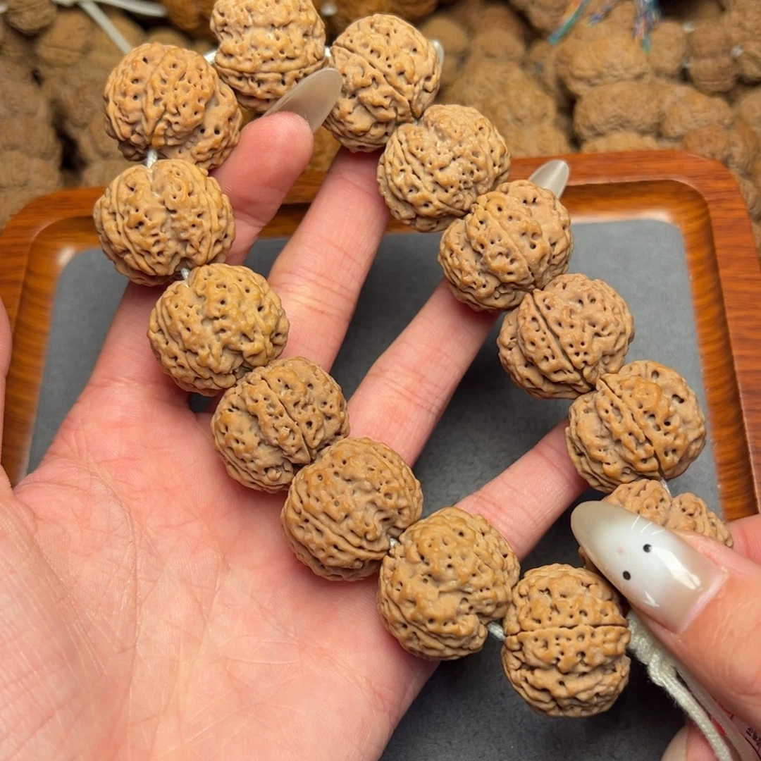 菩提27号尼泊尔大金刚25梅花爆肉梁