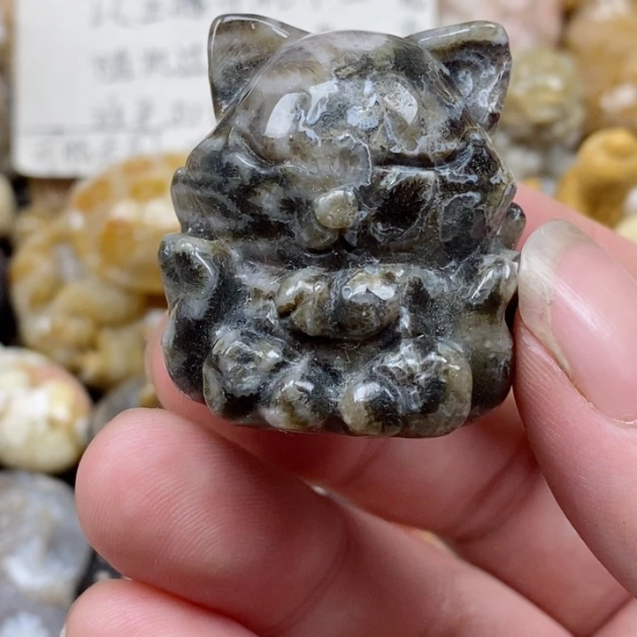 颈饰未镶嵌硅化珊瑚（珊瑚玉）有瑕