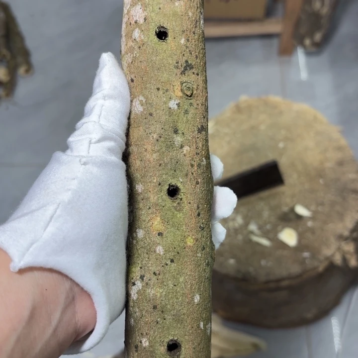 木糖结原木发一份