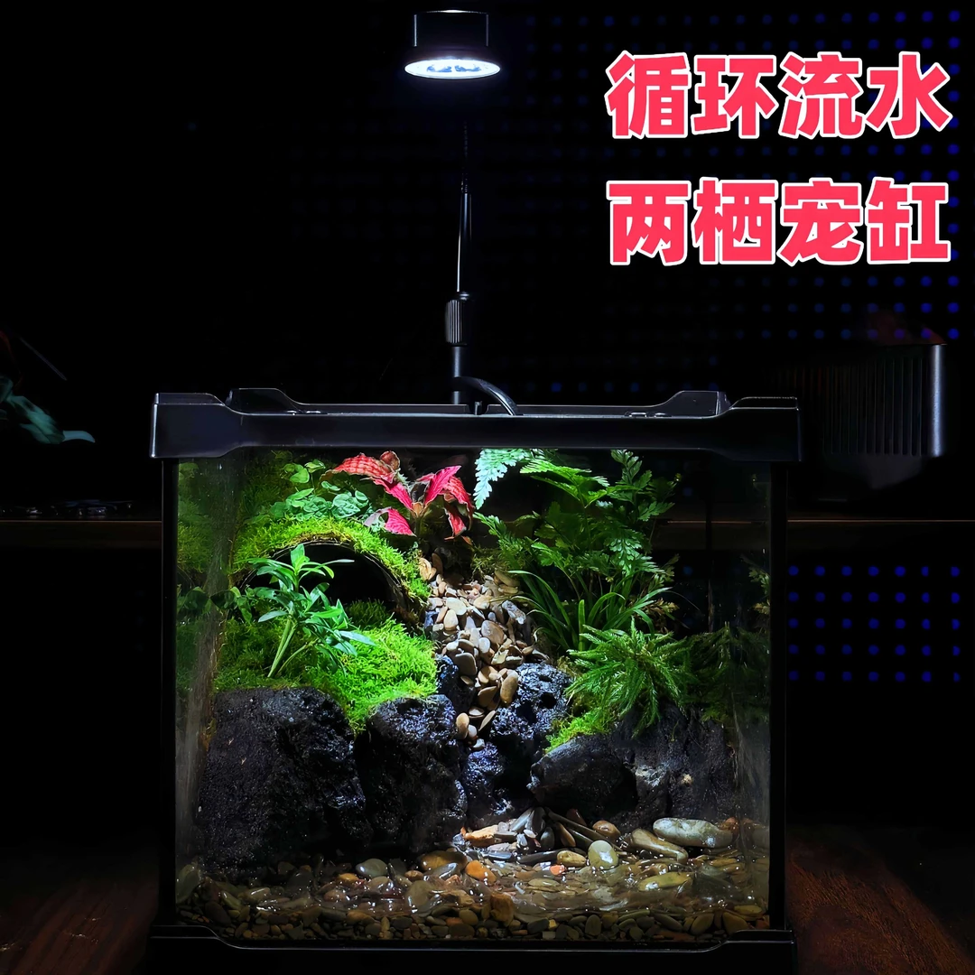 【探险森林】成品创意生态景观缸流水造景办公桌苔藓绿植盆景