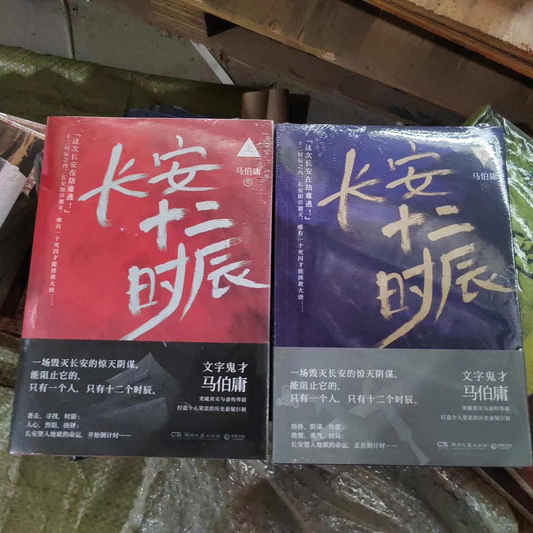 长安十二时辰两本一套正版的微瑕