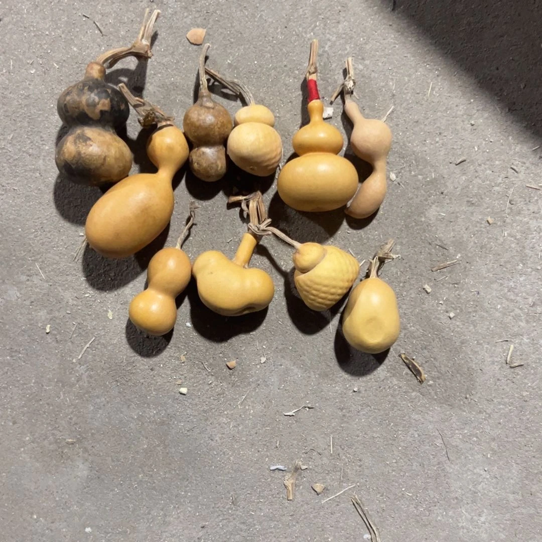 葫芦开心哈哈哈好的