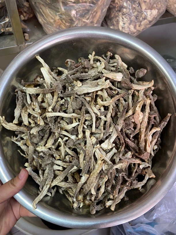【福利品】高山鹿茸菇干货煲汤食材香脆爽口半开伞鲜嫩