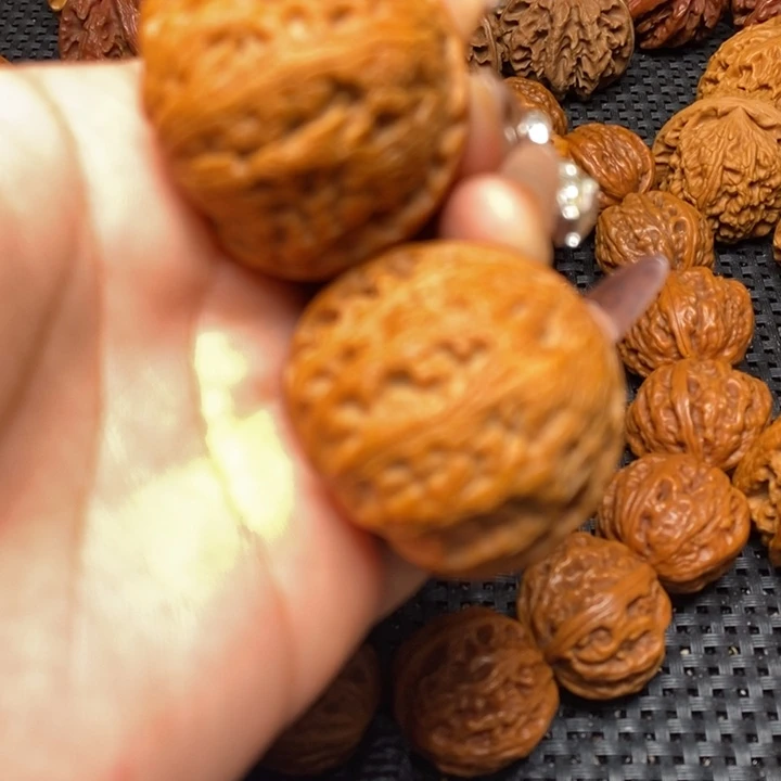 秦岭野生00000000113