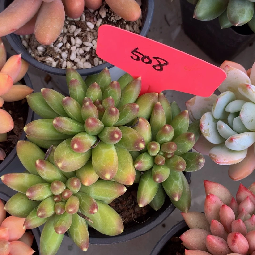 千代田7272727272727