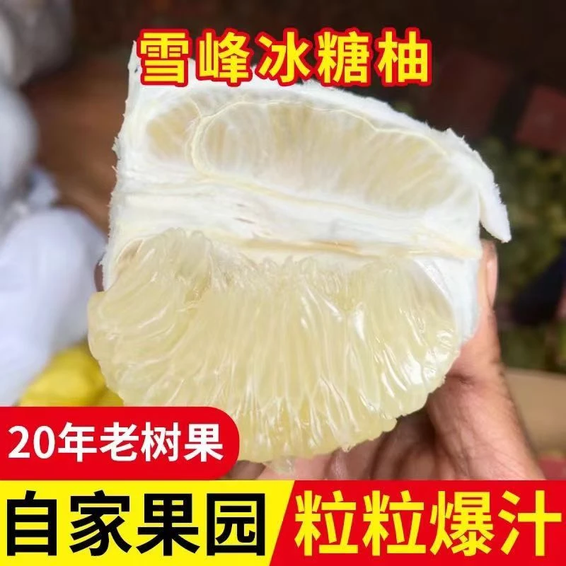 湖南安江雪峰老树冰糖柚怀化土柚小苦柚产地直发麻麻柚微苦回甘
