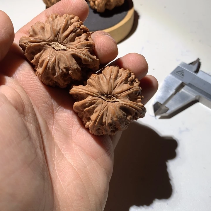 把件文玩核桃小****茶白狮子