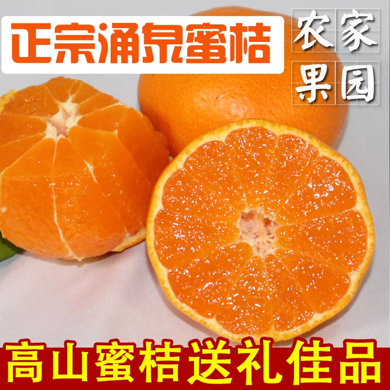 【很甜】临海涌泉蜜桔5斤当季新鲜桔子10斤浙江蜜橘很甜无核橘子