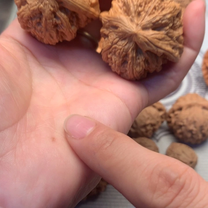 把件文玩核桃粗筋42