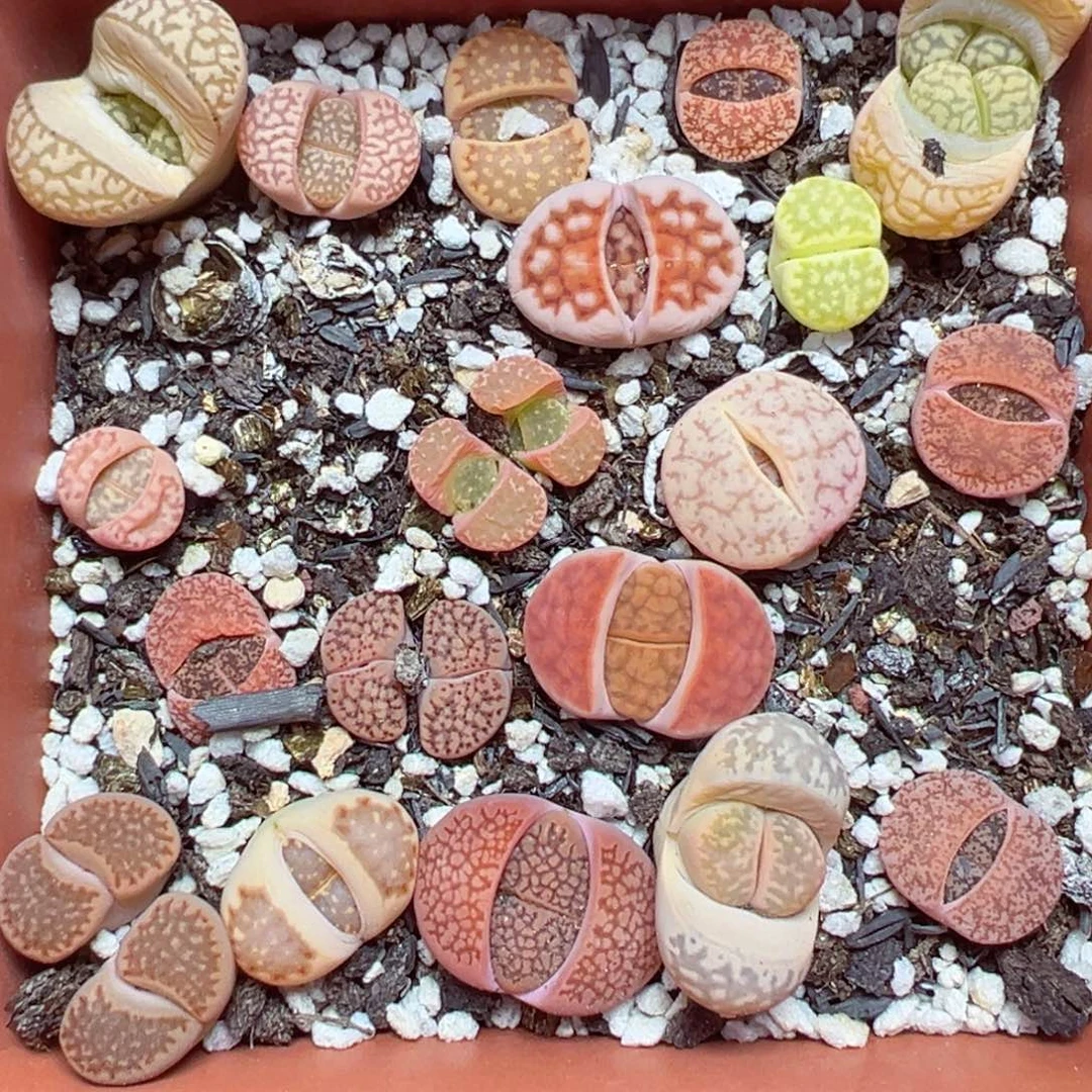 【闪购商品】1127……