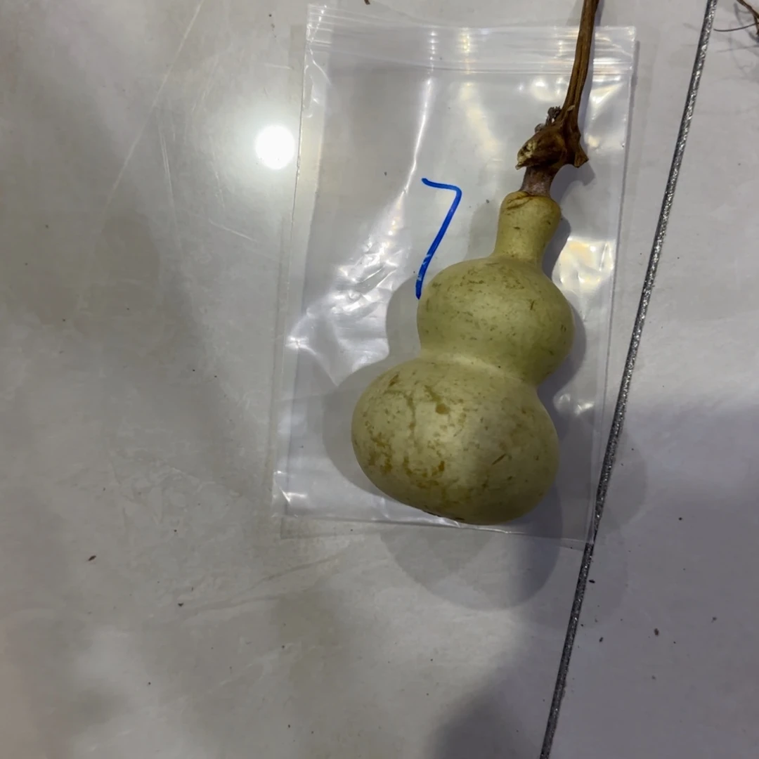 D***l青皮不包成青皮不包成
