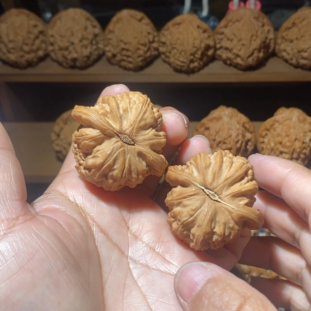 核桃手把件白狮子41