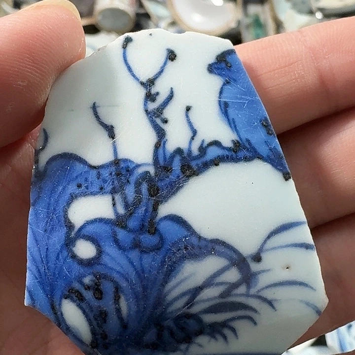 小***8瓷片瓷片标本，顺丰包邮