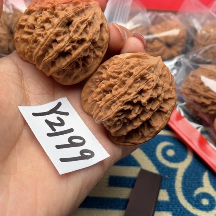 文玩核桃把件蟠龙纹