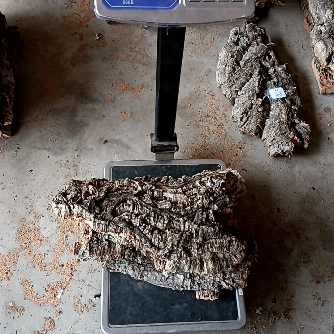 木一物一拍一物一发