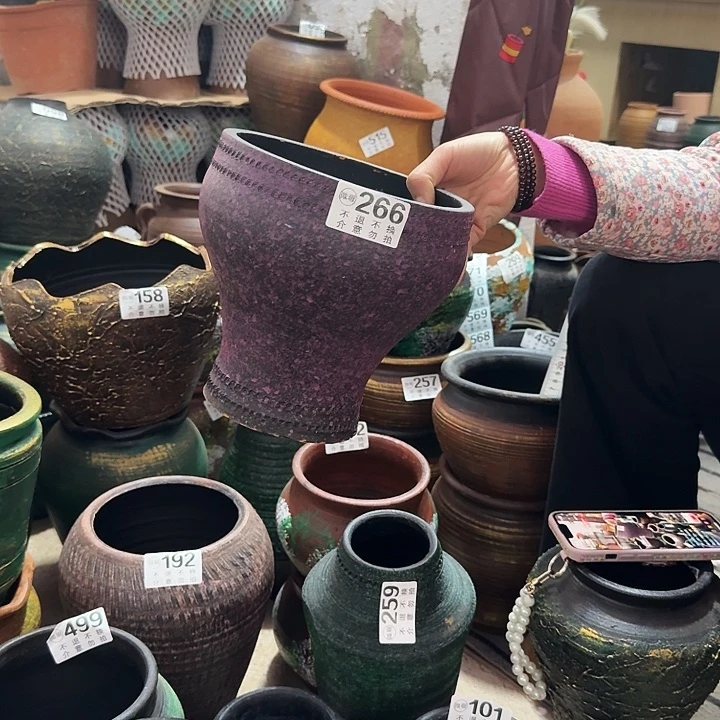 紫色鱼尾266高度20口径18