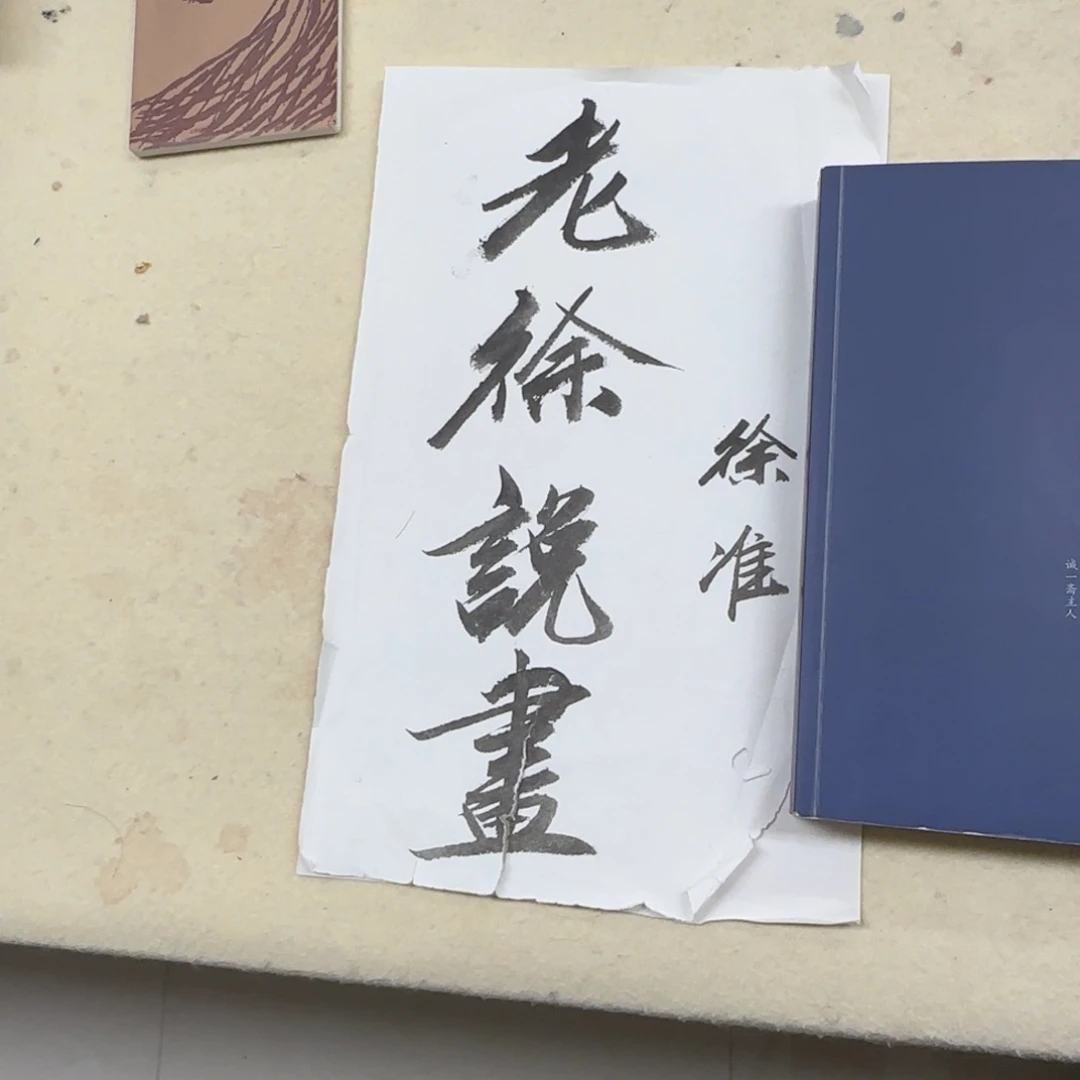 书法徐准 《…教你买字画》