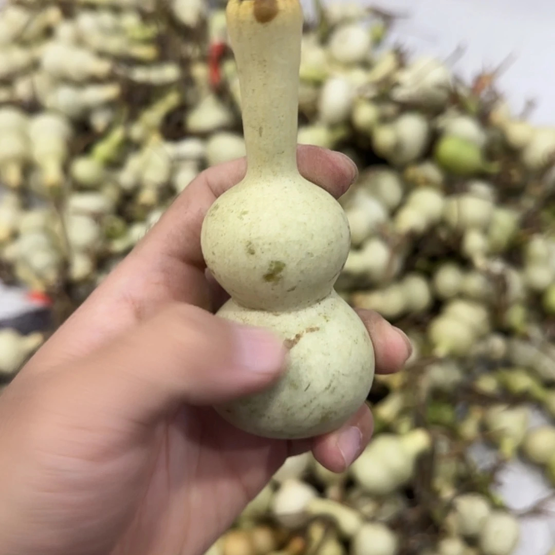龍***翠葫芦下肚微瑕......