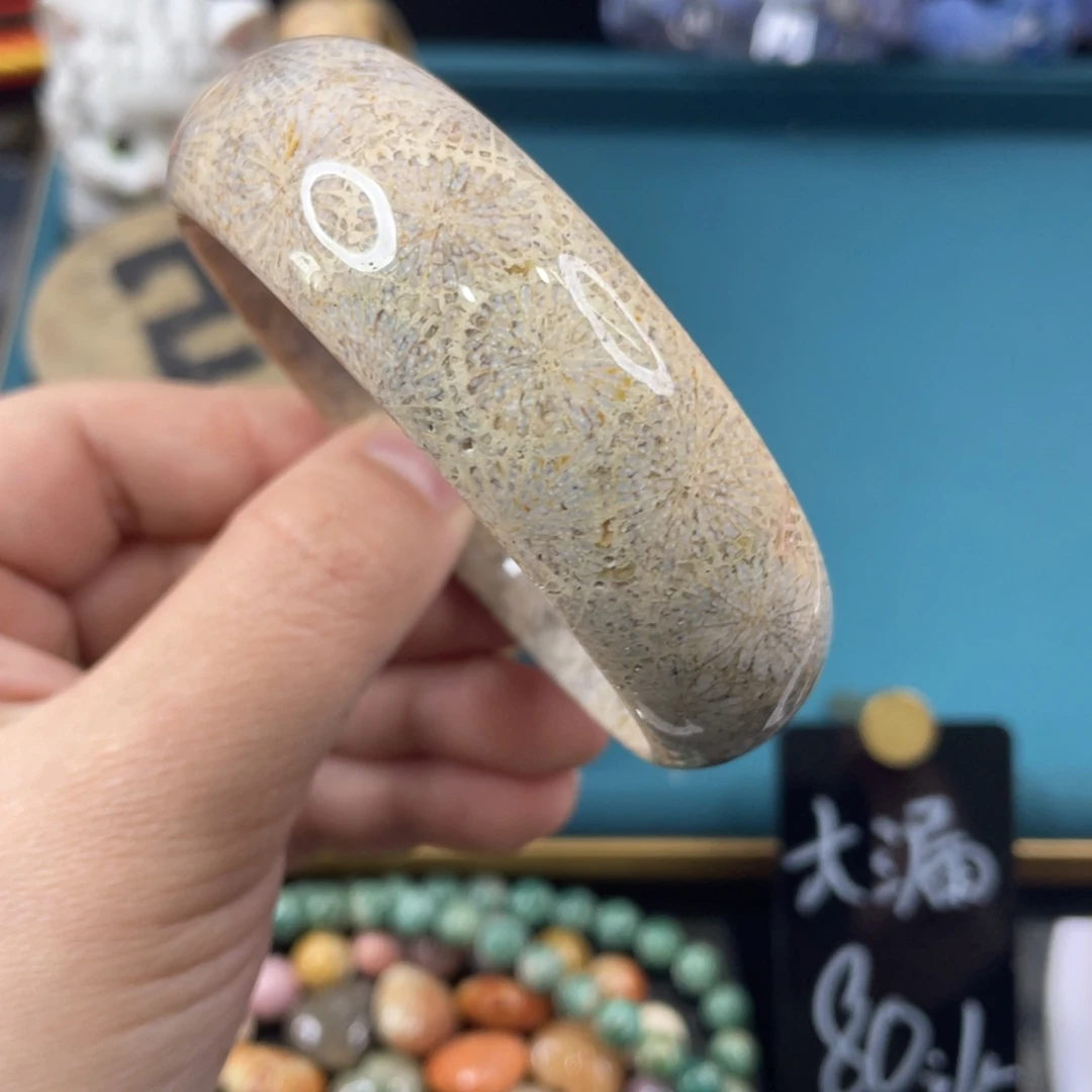 未镶嵌手镯硅化玉