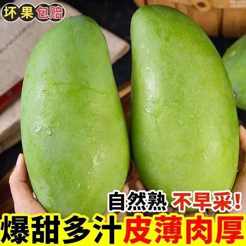 【爆甜多汁】W新鲜采摘大青芒大芒果 产地直发
