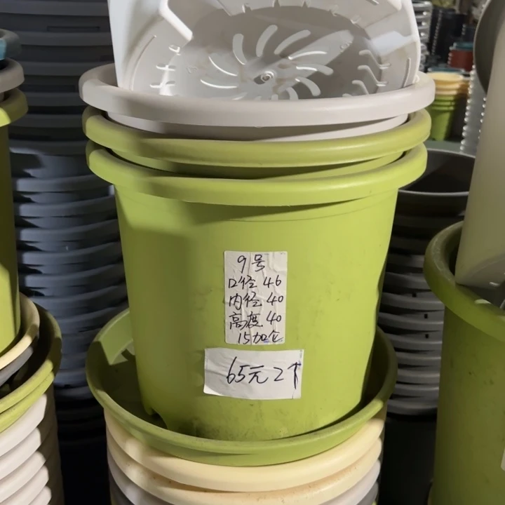 微瑕9#口径46无托果绿3个
