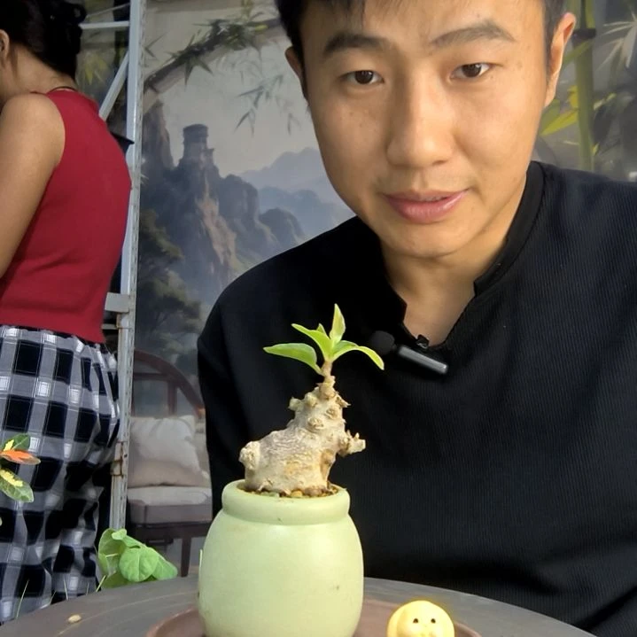 脆**?中青园艺一物一拍202