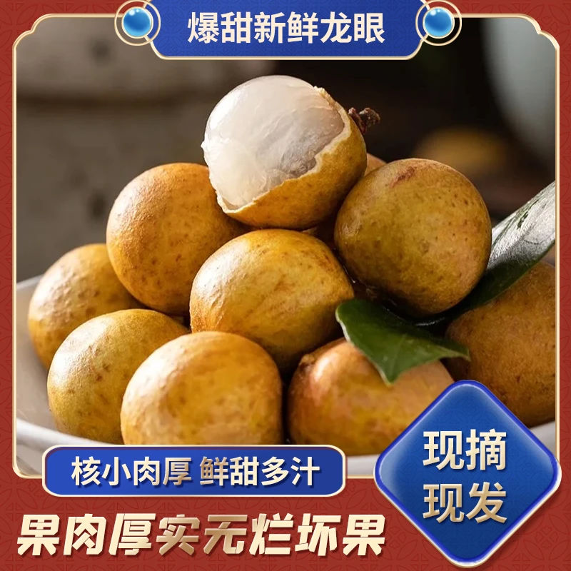 福建新鲜龙眼  肉厚核小清甜多汁 好吃不上火 京东发货 净重4.5斤