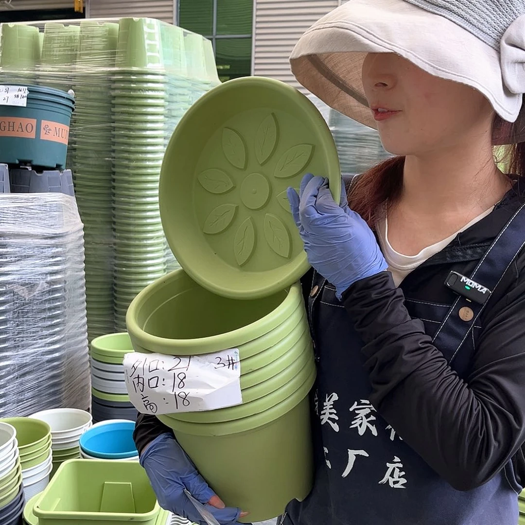 四季盆3#果绿色10个含托