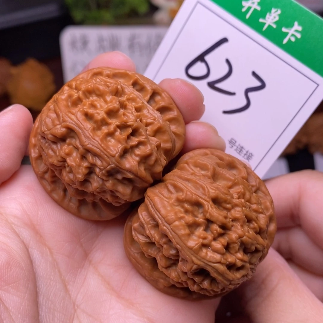 把件文玩核桃623白狮子4.2