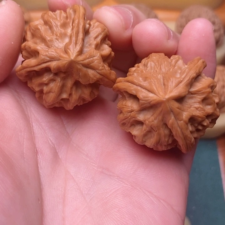 文玩核桃把件38粗筋大龙三棱同树果