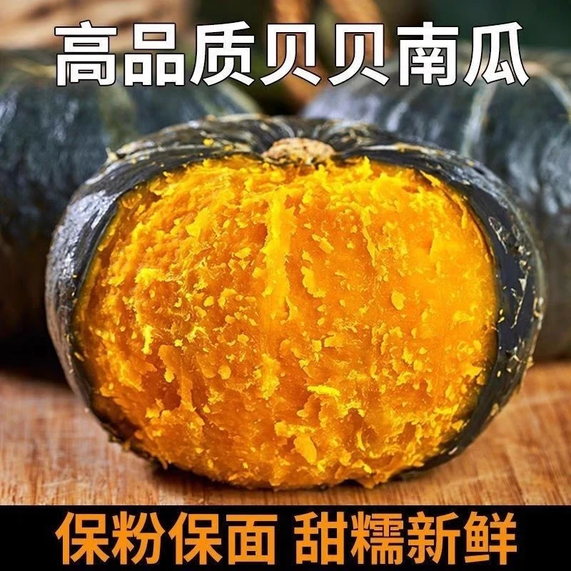 【坏果包赔】正宗贝贝南瓜粉糯香甜板栗味适合宝宝辅食的粗粮小南瓜